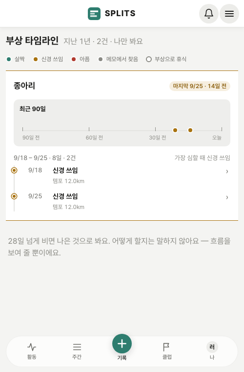 부상 타임라인